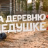 Впечатления астраханцев от фильма "На деревню к дедушке 2"