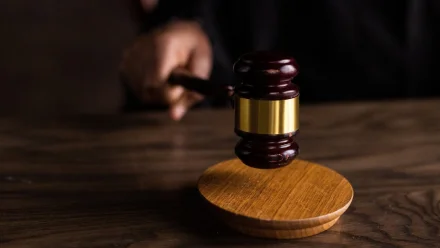 Под Астраханью экс-полицейский получил срок за незаконную рубку леса