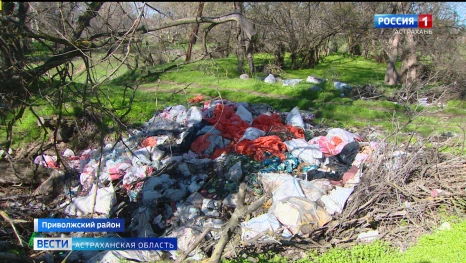 В Приволжском районе русло ерика Мансур завалили мусором