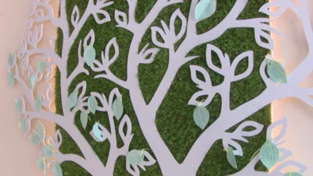 В перинатальном центре Александровской больницы появилось дерево рождаемости