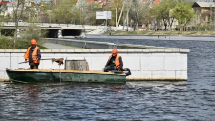 Из каналов Астрахани еженедельно достают по 2 тонны мусора