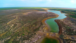 В Астрахани суд отказал «Руссоли» в сносе дамбы в заповеднике