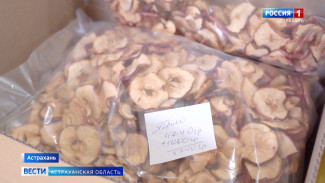 В Астраханской области работает уникальное предприятие, которое производит полезные чипсы из фруктов