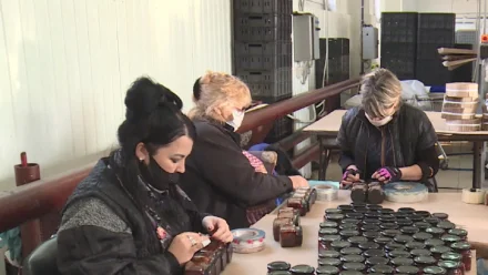 В Астраханской области резко сократилось число работающих инвалидов по зрению