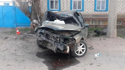Пьяный астраханец на “Форде” врезался в дерево и покалечил друга