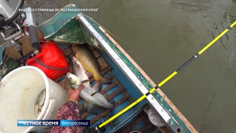 Рубрика "Что ловилось на неделе?". Эфир от 26.04.2026