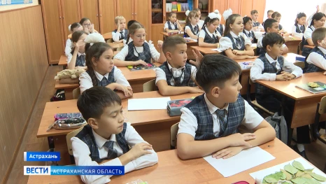 Как проходят первые уроки у начинающего астраханского педагога