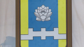 В Астраханской области объяснили значение нового герба Наримановского района