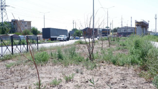 В Астрахани обсудили проблему некачественного озеленения улиц и парков