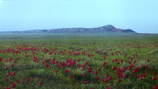 В Астраханском краеведческом музее открылась фотовыставка "Нетронутая красота"