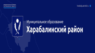 В Астраханской области главу села привлекли к ответственности за занижение доходов