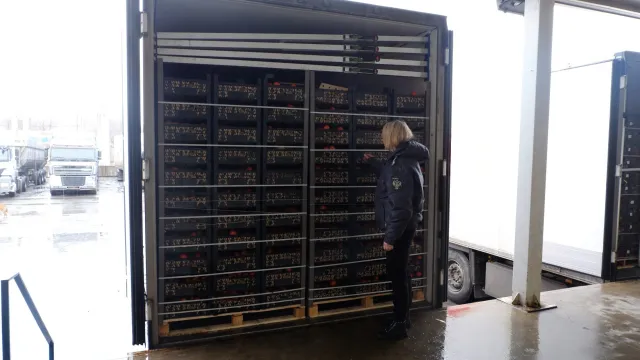 В Астраханской области предотвратили ввоз более 190 тонн растительной продукции из Казахстана
