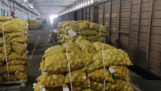 В Астрахань прибыли первые вагоны-рефрижераторы с овощами и фруктами из Ирана 