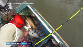 Рубрика "Что ловилось на неделе?". Эфир от 26.04.2026