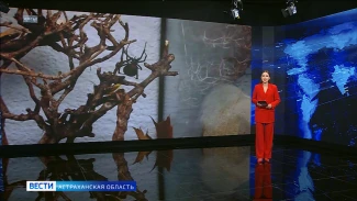 Астраханцам рассказали про опасных обитателей региона