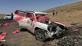 В Астраханской области ещё одна женщина погибла в ДТП