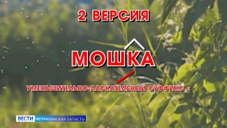 Рубрика "Слова" : мошка, тутник, солтень 