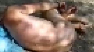 Астраханец, ходивший голым по улице, оказался психически нездоровым