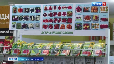 Фермеры Астраханской области активно готовятся к весеннему севу