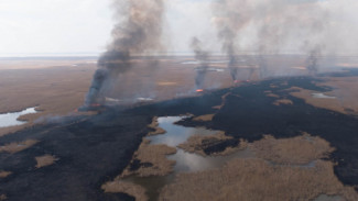 В Астраханском заповеднике ликвидируют пожар на площади 1750 га
