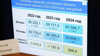 На ремонт дорог, медицину и транспортную реформу в Астрахани выделят допсредства