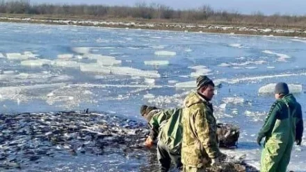 Астраханское прудовое предприятие обновило оборудование при господдержке