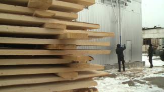 Астраханская колония запустила комплекс по сушке и переработке дерева