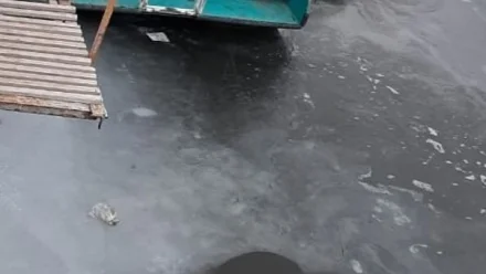 В Астрахани произошёл розлив нефтепродуктов на реке Прямая Болда