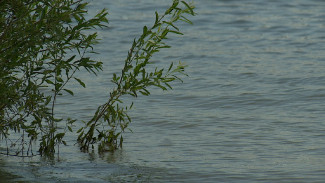 Прогнозируется ли наводнение в Астраханской области?