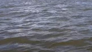 В Астраханской области 16-летний подросток утонул в реке Ашулук