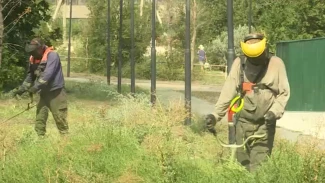 Астраханские волонтеры провели большой субботник в парке завода «Антикормаш»