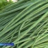 Какие продукты стали дешевле для астраханцев в середине июня