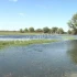 В Астраханской области стартовала рыбохозяйственная полка 