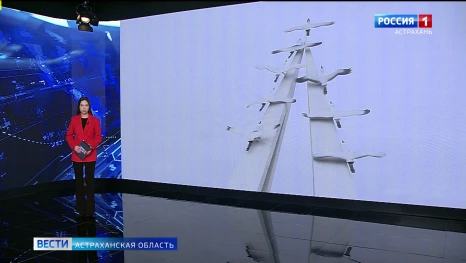 Сегодня - День белых журавлей