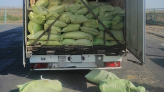 На границе Астраханской области пресекли ввоз 20 тонн насвая