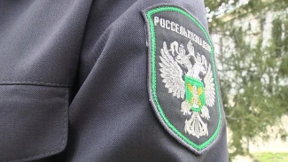 В Астраханской области продавали рыбную продукцию без маркировки и документов