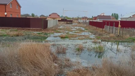 В Астраханской области причинён ущерб природе на более 14 млн рублей