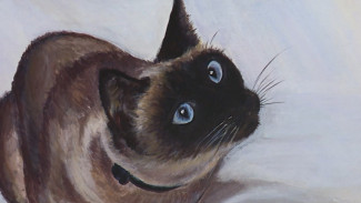 В Астрахани работает выставка "Мой пушистый друг"