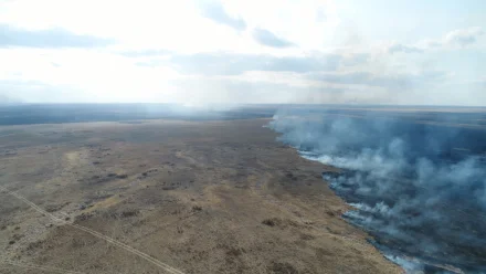 В Астраханском заповеднике ликвидировали 12 очагов возгорания