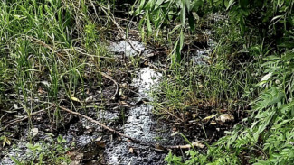 В Ахтубинске «Водоканал» оштрафован за причинённый вред почвам и реке