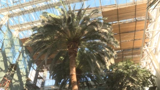 В Астрахани осудили директора стройфирмы за дачу взятки при реконструкции кинотеатра «Октябрь»