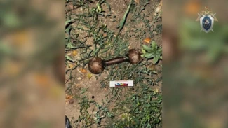 Астраханец убил знакомого гантелью