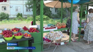 В Астрахани продолжается борьба с несанкционированной торговлей