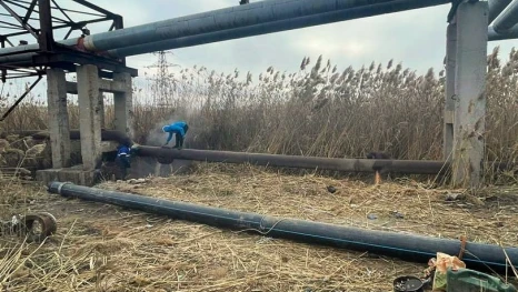 Собственница из Свердловской области загрязнила почву в Астрахани на 1,2 млн рублей