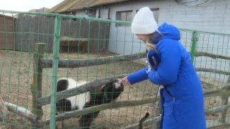 В астраханском зоопарке медведь вышел из спячки