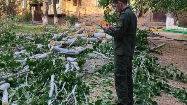 В Астрахани директор управляющей компании получил 2,5 года тюрьмы за смерть ребёнка