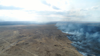 В Астраханском заповеднике ликвидировали 12 очагов возгорания