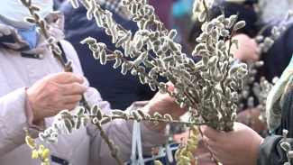 Сколько стоит в Астрахани главное украшение Вербного воскресенья 