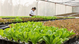 В Астрахани оказывают господдержку инвестпроектам