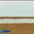 Команда ГТРК "Лотос" стала лауреатом Международного экологического конкурса 